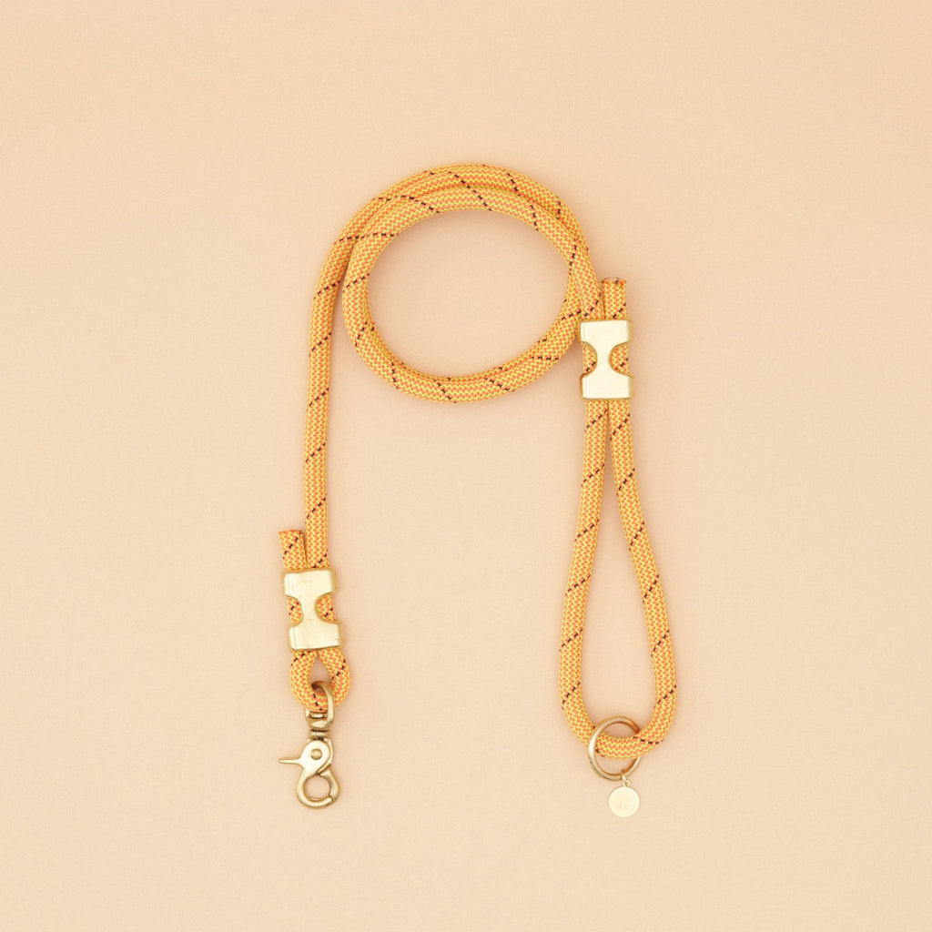 Fuji Rope Leash - Turbo Yellow