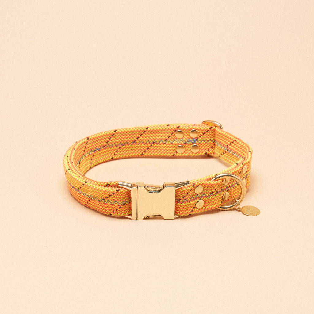 Dexter Large Dog Collar - Turbo Yellow