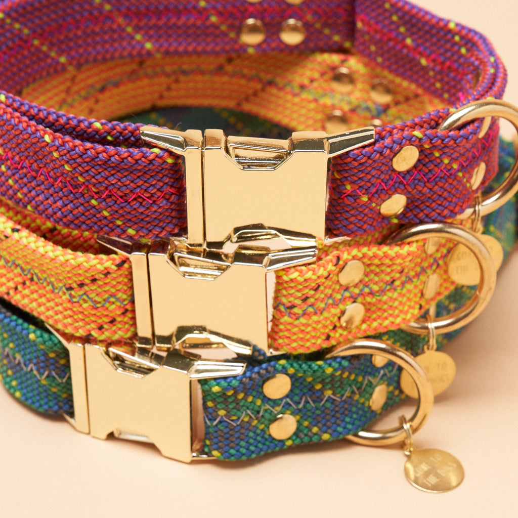 Dexter Large Dog Collar - Turbo Yellow