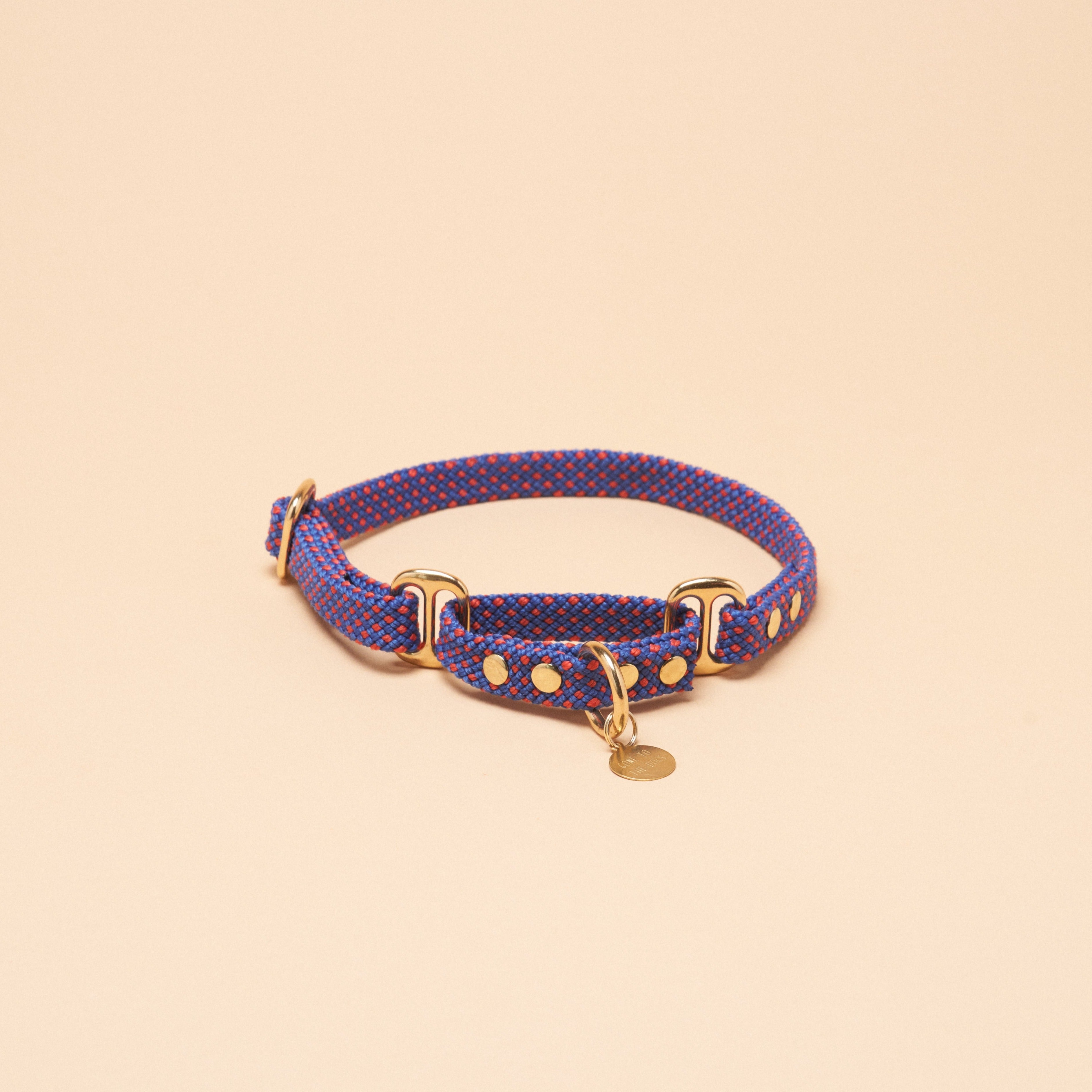 Remy Martingale Collar - Purple