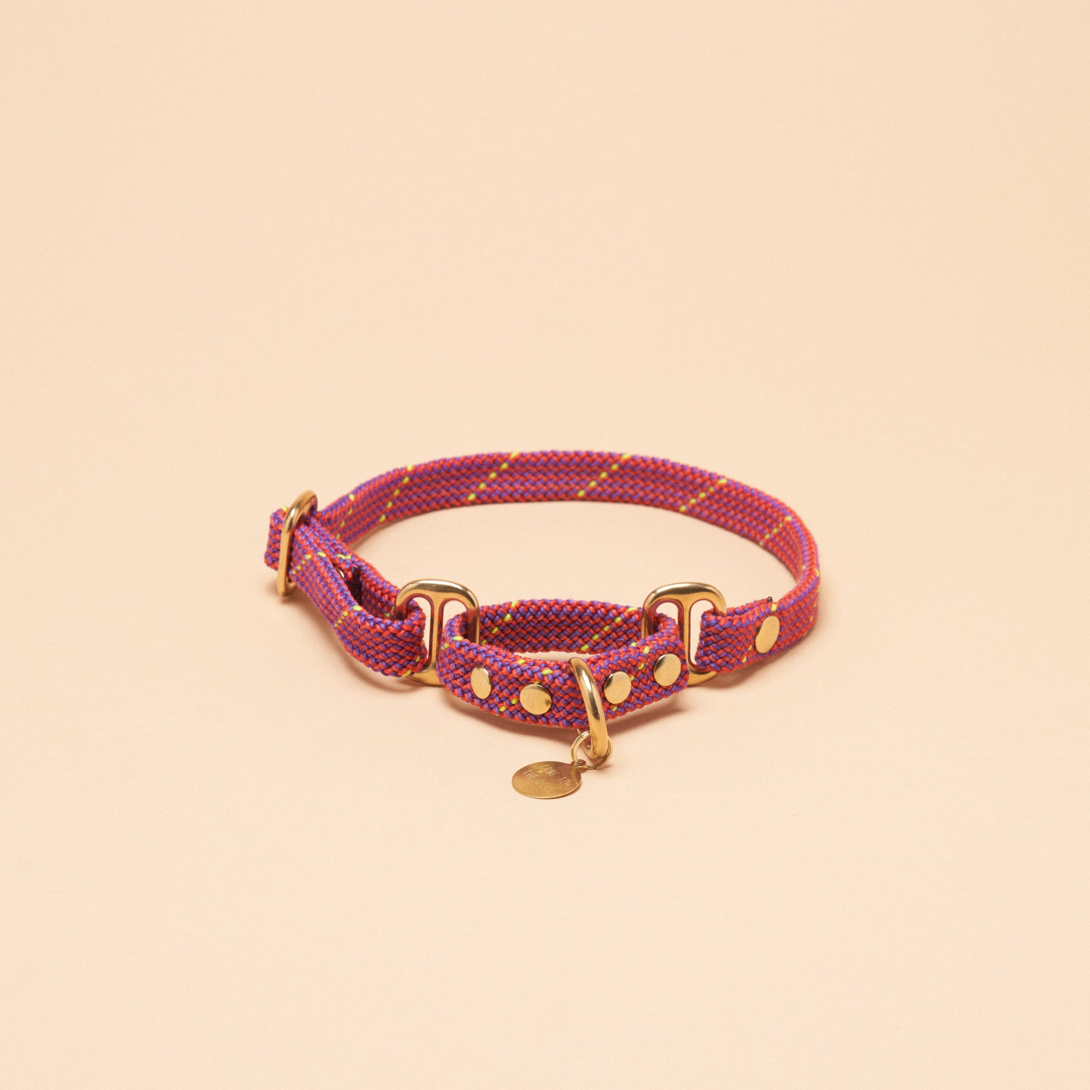 Remy Martingale Collar - Pink