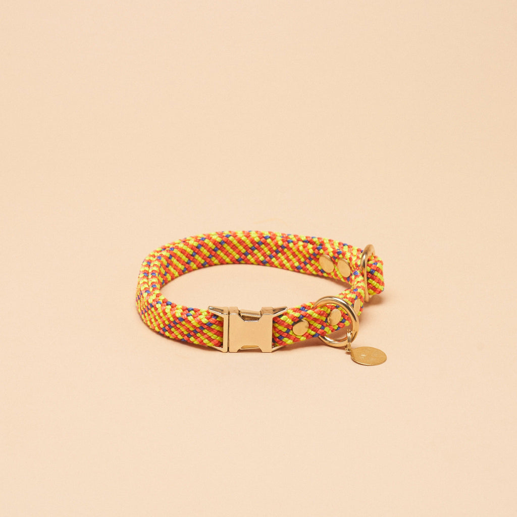 Saimin Flat Rope Collar - Sun Daze