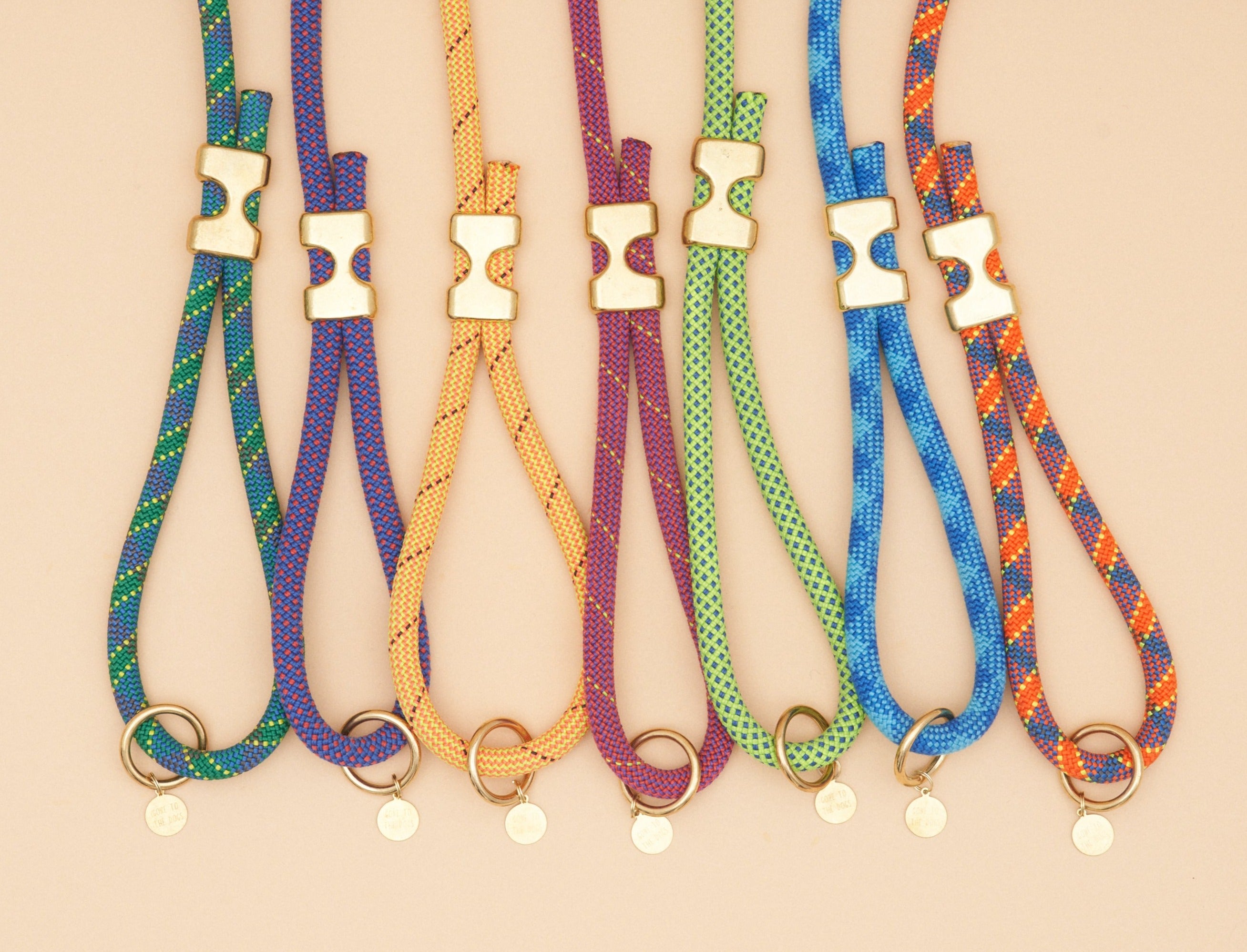 Fuji Rope Leash - Aqua