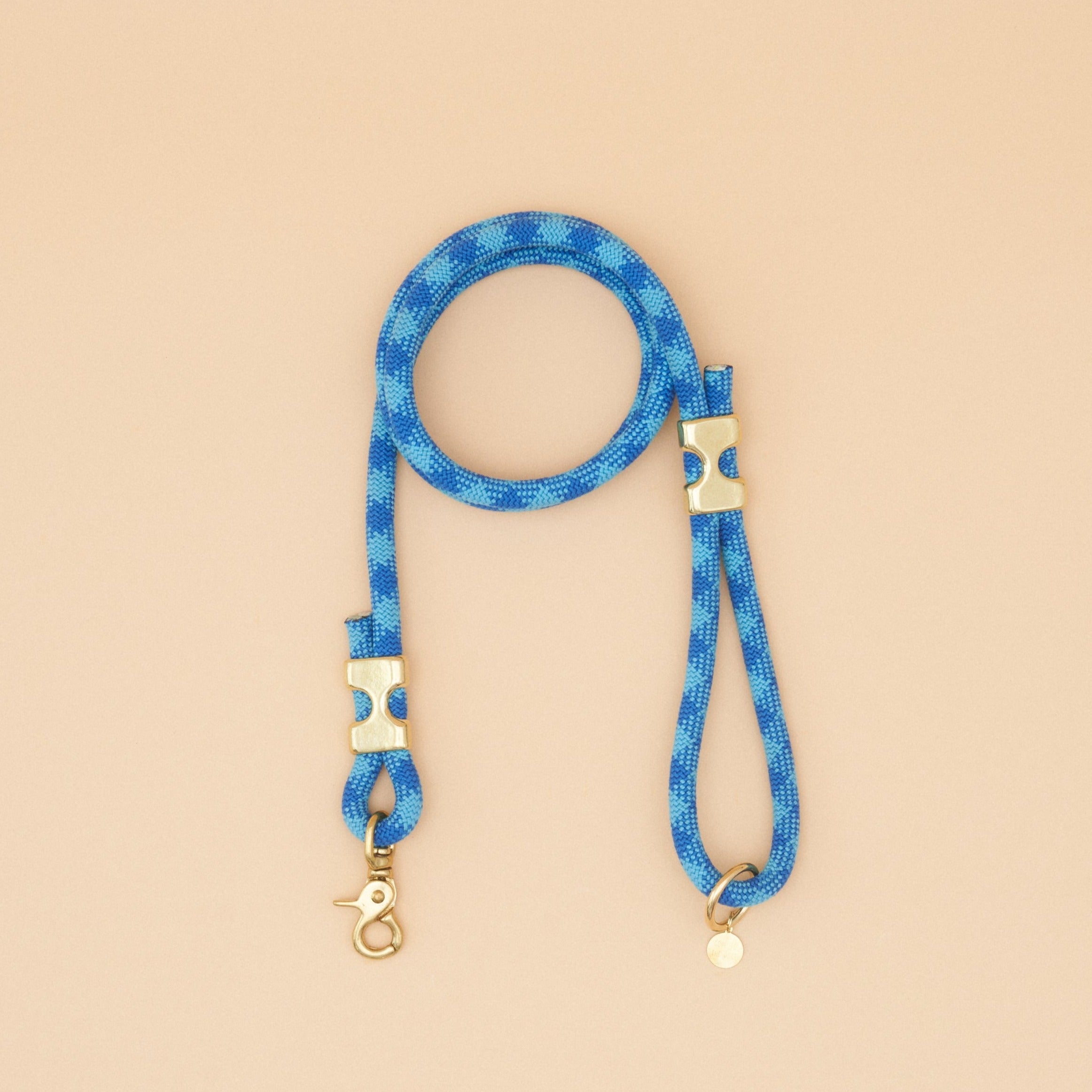 Fuji Rope Leash - Aqua