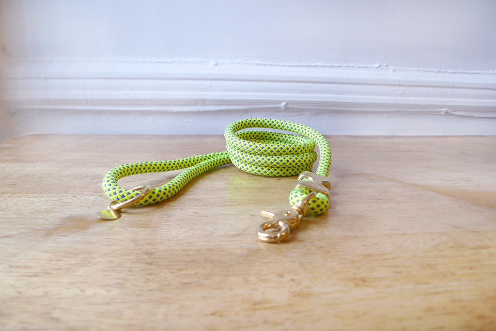 Fuji Rope Leash - Neon Green