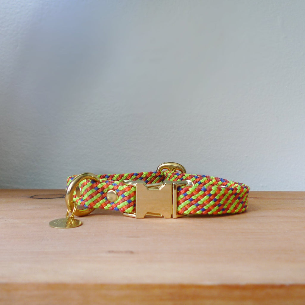 Saimin Flat Rope Collar - Sun Daze