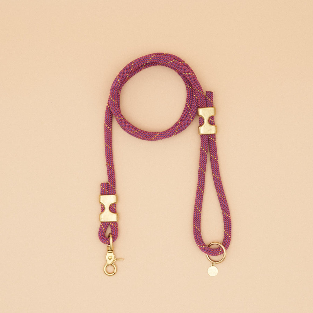 Fuji Rope Leash - Pink
