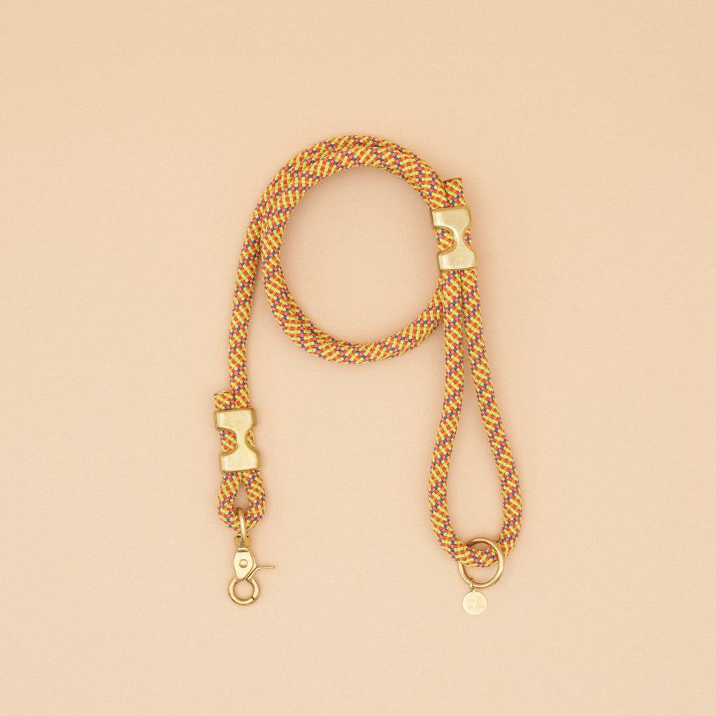 Fuji Rope Leash - Sun Daze Orange